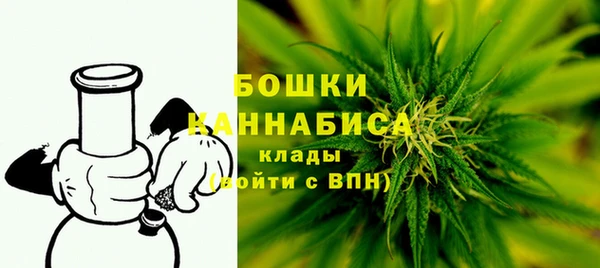 гашик Богданович