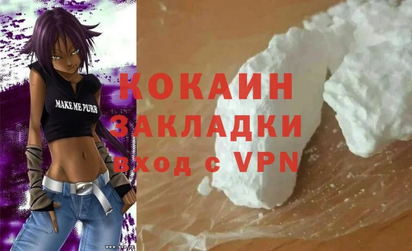 гашик Богданович