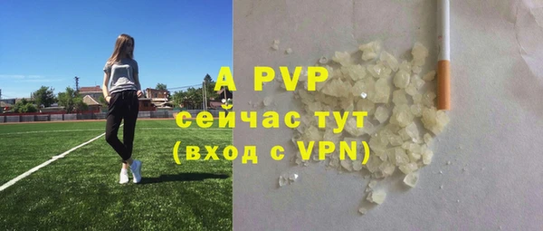 тгк Белокуриха